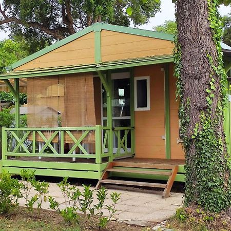 Отель Casa Di Marina - Chalet Bungalow Sorbo-Ocagnano Экстерьер фото